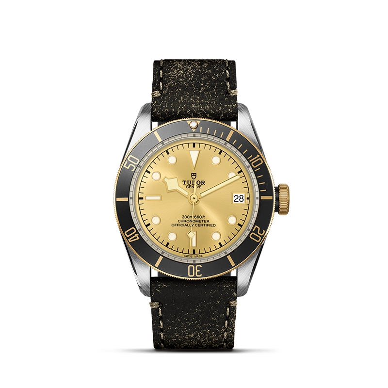 TUDOR Black Bay S&G 41mm Steel and Gold